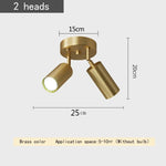 Postmodern Style Ceiling Lamp Spotlight Down Light Iron Gold 2/3/4Heads Aisle Corridor Store Lighting Adjustable Direction