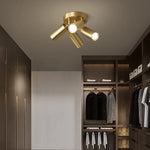 Postmodern Style Ceiling Lamp Spotlight Down Light Iron Gold 2/3/4Heads Aisle Corridor Store Lighting Adjustable Direction